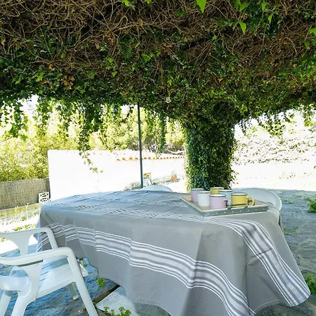 Luminoso Y Espacioso Con Gran Jardin Privado, A Solo 150m De La Playa - Es-228-136 Апартаменты
